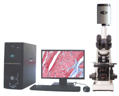 迈朗高倍智能变焦数码显微分析仪sj-tmdi810（II）