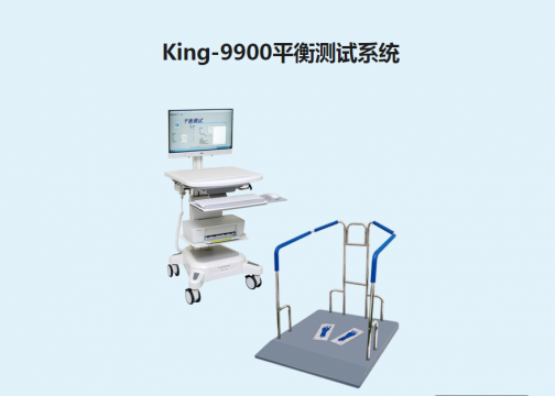 金昌誉平衡测试系统King-9900